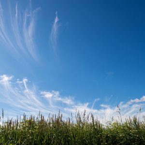 Cirrus Clouds on Blue Sky