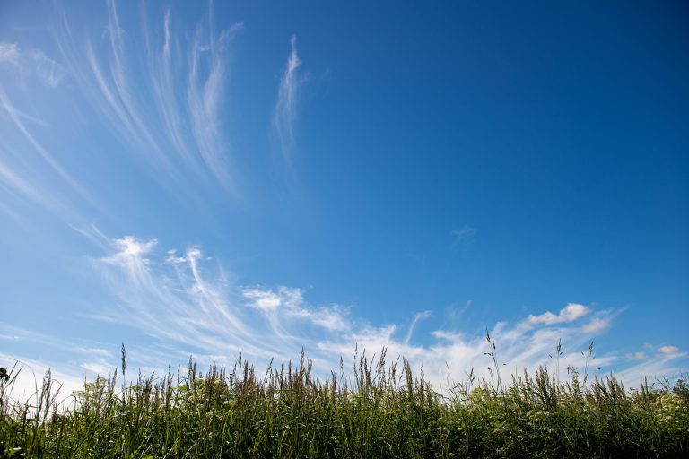Cirrus Clouds on Blue Sky